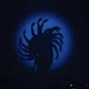 Meet your Posher, Camila